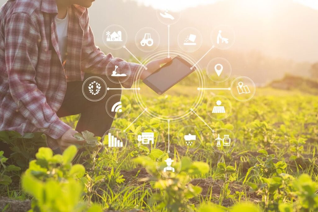 A Internet Das Coisa (IoT) na agricultura